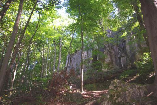 Land-Gut-Hotel Raeuber Lippoldskrug Alfeld  Bagian luar foto